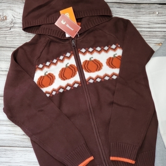 Pumpkin Sweater Pumpkin Zip Up Hoodie Sweater NWT - Picture 5 of 9